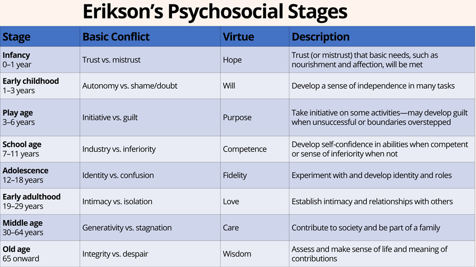 Erikson's Psychosocial Stages